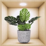 Моделирование трехмерная трехмерная сочные зеленые растения наклейка спальни наклейки на дверные наклейки декоративная стеклянная стике