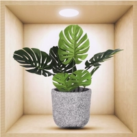 Наклейка с черепахой.