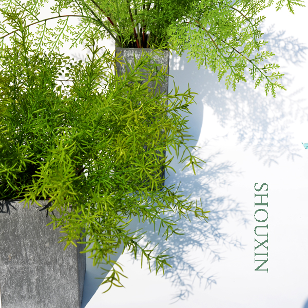 Simulation Ferns Botanical Asparagus Indoor Greening Landscape Background Furnishing Wall Decoration Green Planting Potted Flowers Fake Flowers