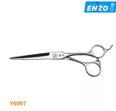 After Chuan Y6007 6-inch comprehensive shear coarse hard hair dry and wet general professional hair scissors