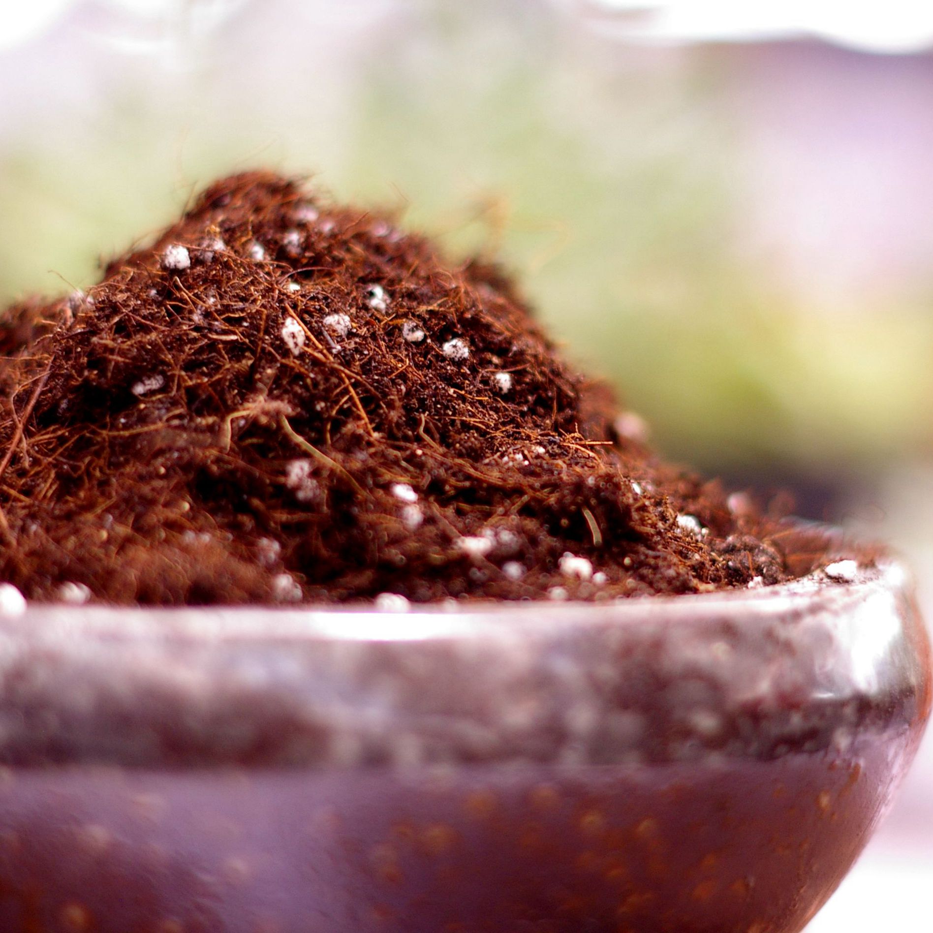 Clivia Organic Nutrient Soil Flower Soil Pine Needles Oak Leaves Cultivation Soil 4L