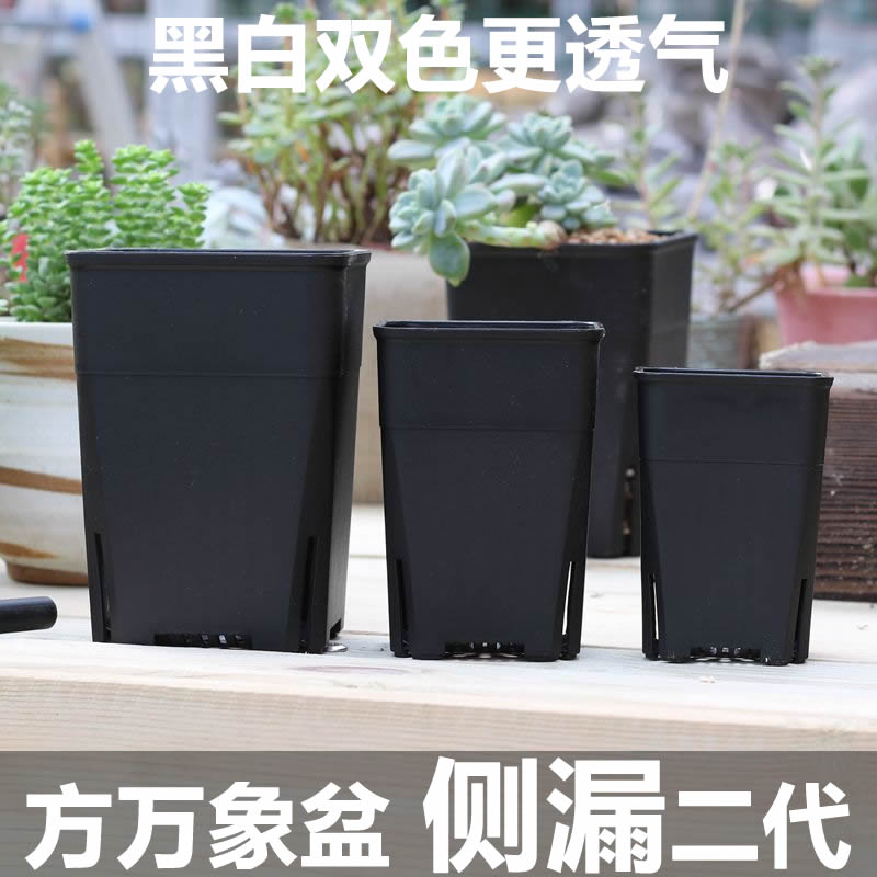 Japan-style square high waist Vientiane basin side drilling breathability good frosted multi-meat flowerpots New Vientiane basin