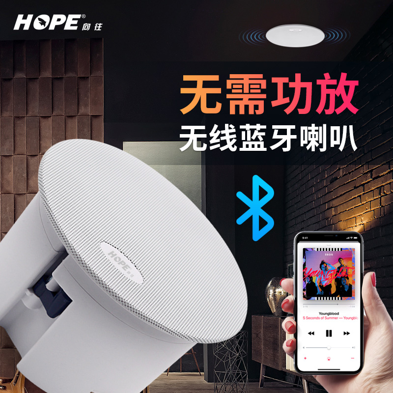 HOPE aspires to B30 Bluetooth active suction speaker B55N bezel ceiling resistance trumpet sound set