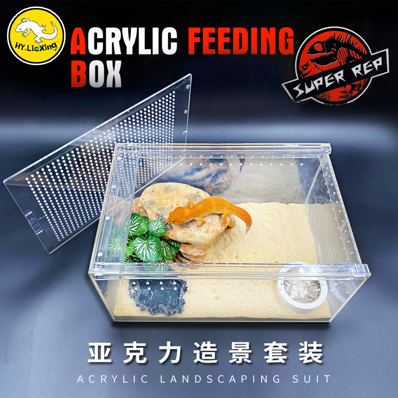Hunting Reptile Reptile Spider Corn Small Darling Acrylic High Transparent Rearing Box of View Box Vat
