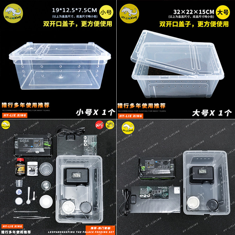 Hunting Reptiles lizard Palaeurian Manure Tail Ciliary Wall Tiger Pet Spider rearing Rearing Kit Rearing Box feeding Box Box