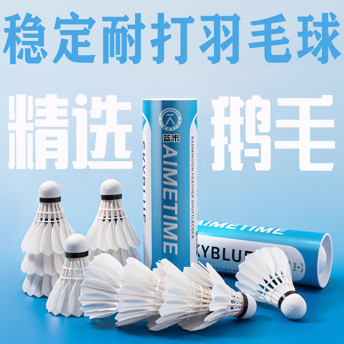AIMETIME羽毛球6只装耐打耐用鹅毛飞行稳定训练球学生专业比赛球
