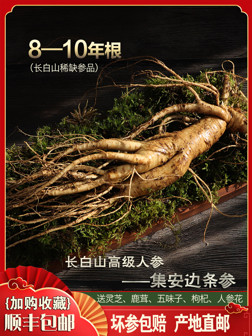 (Extra large single 125g)Northeast fresh ginseng Fresh Changbai Mountain Fresh ginseng Mountain Ginseng Forest ginseng Soaked wine red ginseng
