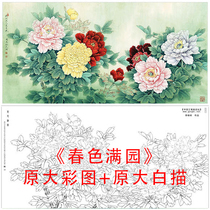 Gongyi line drawing peony manuscript Li Xiaoming four feet spring color full garden line drawing copy physical printing draft 878C