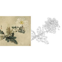 Gongbi painting white sketch background draft Flower Yu Zhizhen chrysanthemum physical hook line print draft size optional-JV20