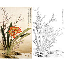 Gongbi painting white sketch background draft flower physical hook line print draft Yu Zhizhen Clivia size optional-JV36