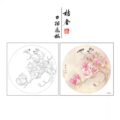 Gongbi painting white sketch background draft hook line physical print draft Liang Yansheng Magnolia sketch 42*42 with color pattern 316T