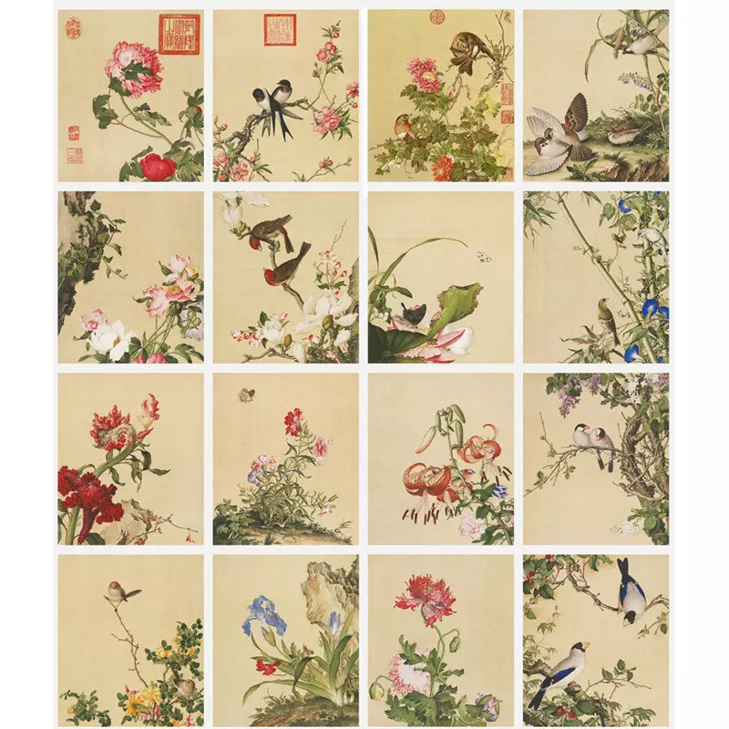 Gongbi painting white sketch manuscript Lang Shining Fairy calyx Changchun Book 16 physical prints 35*42 with color pattern LT00