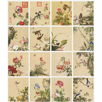 Meticulous painting white drawing draft Lang Shining Xiane Changchun Volume 16 physical printed manuscripts 35*42 with color picture LT00