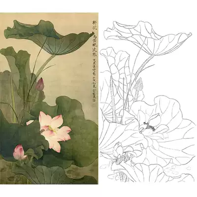 Meticulous painting line drawing draft, lotus flower Yu Zhizhen waiting to reveal the original large physical print 47*82 with color pattern 672T