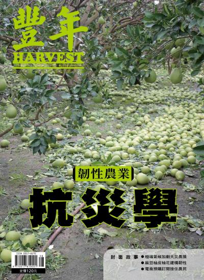 豐年 2026年8月 韌性農業防災學