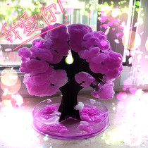 Europe and America Best Selling Small Clear Desktop Decompression Christmas Tree Magic Paper Tree Flowering Wishing Tree Gifts for Children