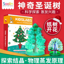 Handmade toys parent-child games Christmas toys Christmas tree paper tree flowering crystal tree will grow magic tree