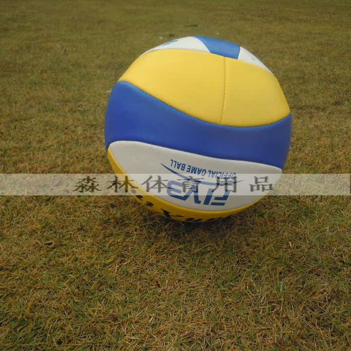 Ballon de volley - Ref 2013570 Image 6