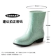 523 Grouper Green