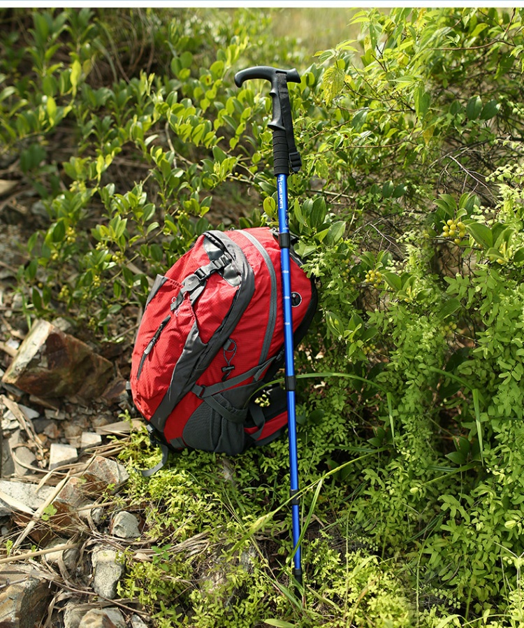 Lạc đà ngoài trời leo núi cực leo núi xuyên quốc gia trekking T-phần 4 thẳng thân kính thiên văn chống trượt mía gậy leo núi đa năng