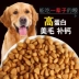Thức ăn cho chó lông vàng đa năng Labrador hơn gấu Teddy Samoyed toàn chó giống chó trưởng thành 5kg10 kg 20 - Chó Staples hạt natural core Chó Staples