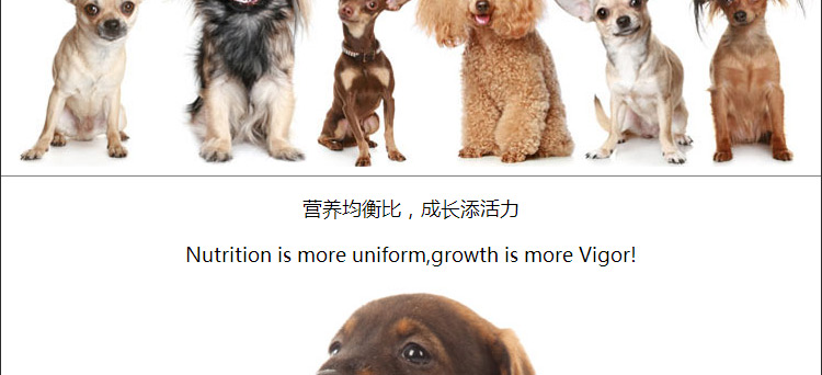 Thức ăn cho chó 5kg tuyệt vời 10 kg Công thức tự nhiên Bắc Âu Chihuahua thức ăn cho chó trưởng thành - Chó Staples hạt anf
