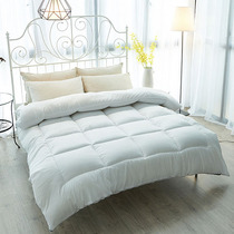 The bedding quilt winter is air conditioned by the core heating double cotton by the spring and autumn of the summer cool core