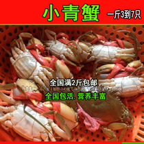 (Fresh small blue crabs) Sea crabs small meat crabs wild male and female crabs fresh midges (over 2 pounds)