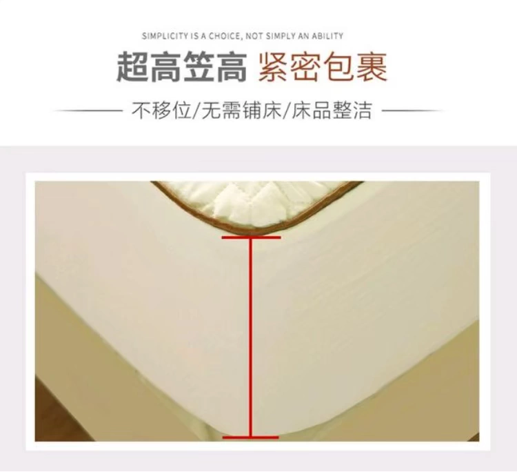 Xuất bông rửa giường chăn đơn Simmons nệm bảo vệ bọc mủ cao su bọc nệm mỏng màu nâu chống trượt ga giường chun