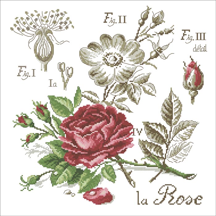 ●Hu Lili Cross Stitch ●DMC Kit Rose CH030165 There are precision printing cloth optional