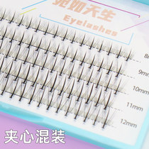 Leflower Complex False Eyelash Woman Natural Fairy sandwich multi-size mix subsection single-cluster Dairy fairy hair 0 07