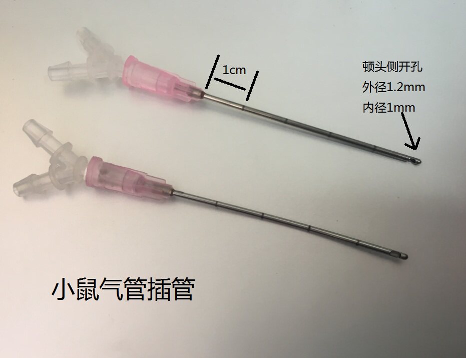 Mouse tracheal intubation metal belt scale depth controllable entrance mouse tracheal intubation breathing machine accessories