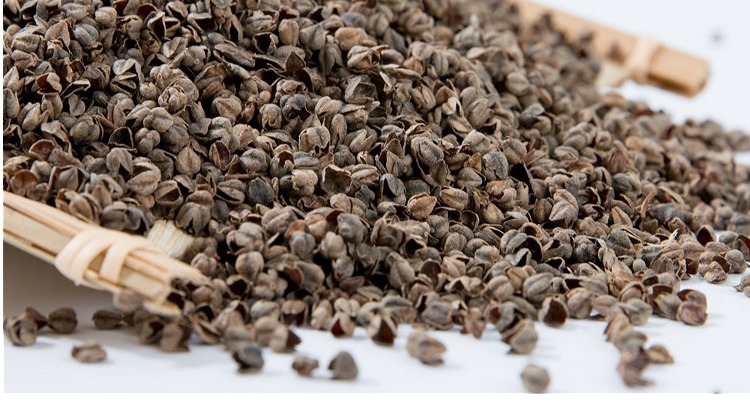 Được lựa chọn kiều mạch kiều mạch husks số lượng lớn người lớn dùng một lần kiều mạch trấu kiều mạch ngọt ngào vỏ gối gối gối cao su kim cương