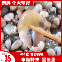 Fresh cuttlefish eggs Squid eggs Donghai wild 400g large squid eggs mesh fish eggs with cream