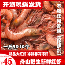 Zhoushan seafood wild red shrimp East China Sea aquatic red shrimp fresh sea shrimp sea shrimp can be peeled shrimp chilled