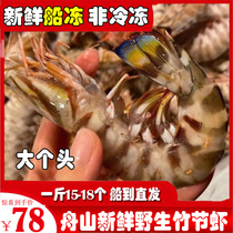 Zhoushan Wild Fresh Bamboo Festival Shrimp Jiujie Shrimp Aquatic Fresh Boat Frozen Fresh and Frozen Fresh-based Shrimp 15 -18 Jin of Shrimp Meat