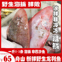 Boat Mountain Longley fish Coarse Scales Wild Fresh Live Large Dragon Tongue Fish Tongue Glossus fish without stab Deep Sea complemented by 2-3 catties