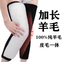  Extended wool knee pads keep warm in winter old and cold legs men and women old and cold-proof thickened cashmere joint knees cycling