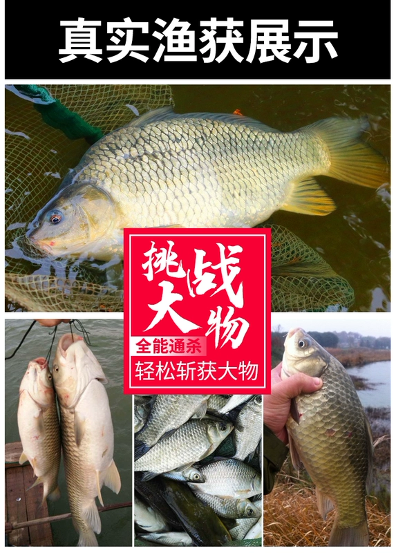 cần câu đài Cần Câu Tay Cần Siêu Nhẹ Siêu Cứng Cá Diếc Cần Đoạn Ngắn Dòng Cần Người Mới Câu Cá Bộ Cá Chép cần Câu Hoang Dã cần câu máy giá rẻ cần câu tay giá rẻ