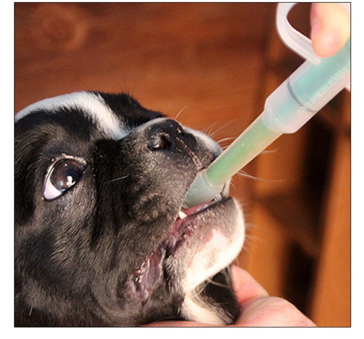 Thiết bị cho ăn, chó và mèo, gậy cho ăn thoải mái, chó cưng uống thuốc, kim - Cat / Dog Medical Supplies Dụng cụ thú y giá sỉ