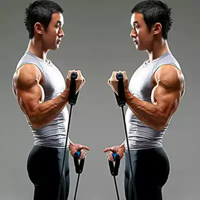 Van Cool Rally Male Women Fitness Strength Training Elastic Training Rope One-character Rope Strength Training Rope