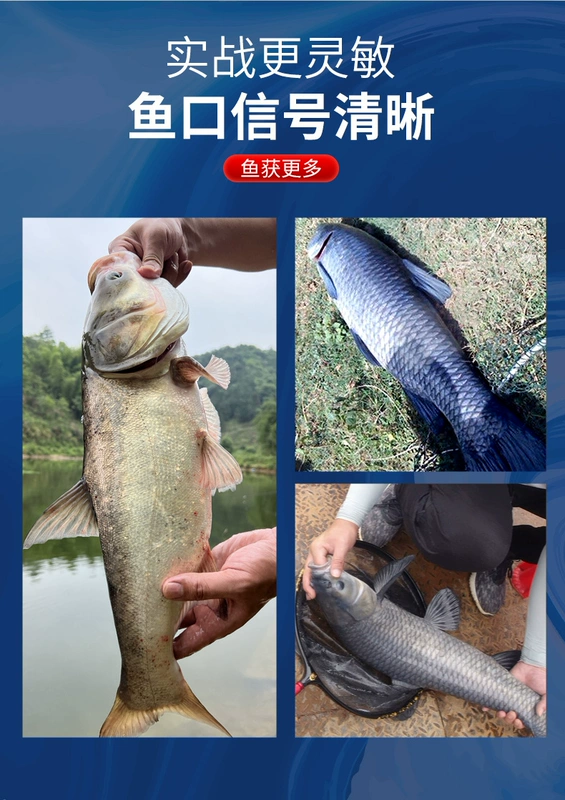 Phao hành trình siêu dài Xiaofengxian, độ nhạy cao, phao cá đậm bắt mắt, câu cá bè lừa đảo cho cá chép hố đen và cá chép đầu to, phao miệng nhô cao phao câu cá phao câu đem