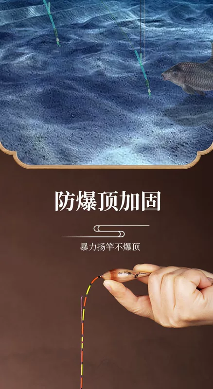 Xiaofeng Fairy Momo Chính hãng Có độ nhạy cao Nổi sậy đậm bắt mắt Phao đen hố đột quỵ Phao đặc biệt dành cho cá chép và cá chép phao câu đem phao hố đấu câu chép
