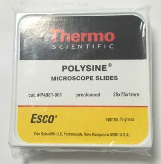 Symerfly Thermo P4981 Polysine multipoly Amic Acid Immunohistised Anti-Adhesion Slide