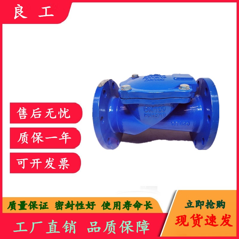 Lianggong valve soft seal check valve H44X-16Q rubber flap check valve water pump check valve DN65