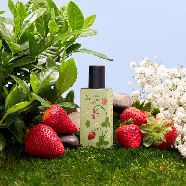 Sorce Wizard Chef |   Regular Line |   All Things Grow, Matcha Is the Perfect Prey. |   Perfume Sample Testing