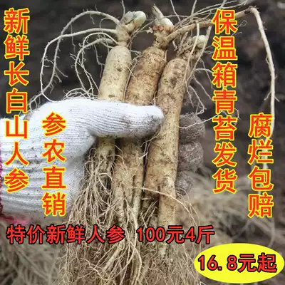 Jishan margin fresh Changbai Mountain ginseng Jilin ginseng northeast specialty wine soup ginseng origin direct sales