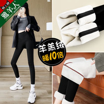 Lamb Shark Pants Women Wear Tight-fitting Barbie Yoga Little Man Autumn and Winter Thick Padded Fly Leggings