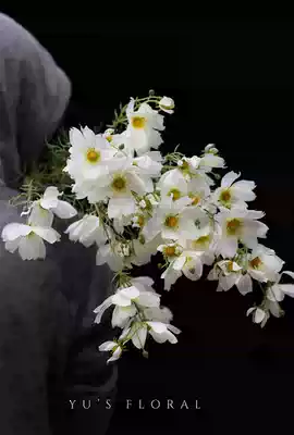 Simulation flower White Gesang flower big branch multi head realistic wedding with flower flower flower art landscape home decoration