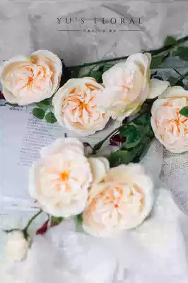 Simulation flower Austin rose retro flower Wedding decoration flower fake flower model room home decoration